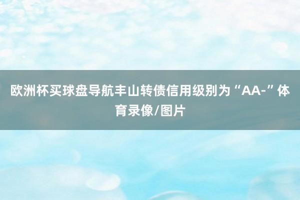 欧洲杯买球盘导航丰山转债信用级别为“AA-”体育录像/图片